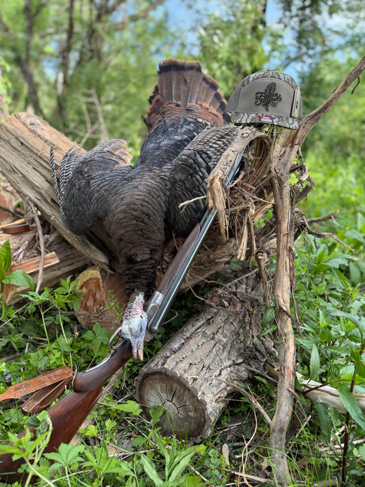The Feather - Bottomland Edition