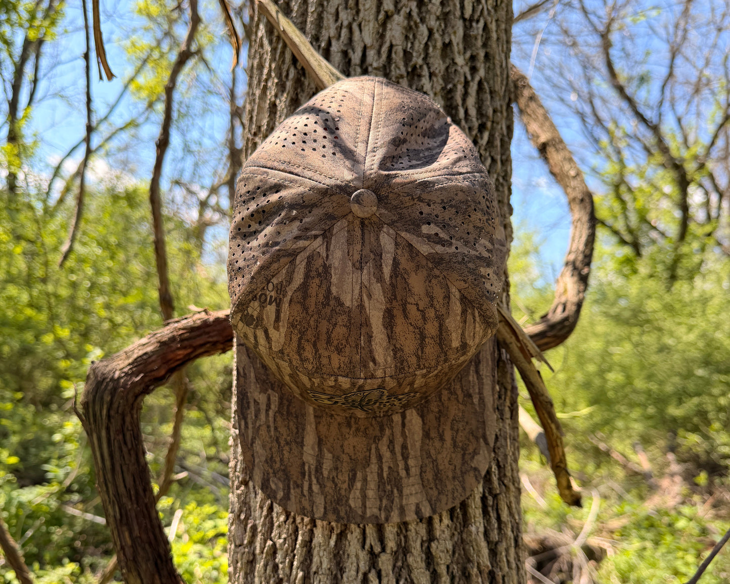 The Feather - Bottomland v2 Pro Edition