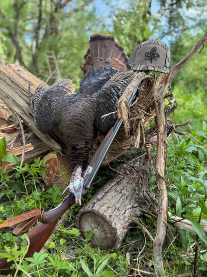 The Feather  - Bottomland Edition